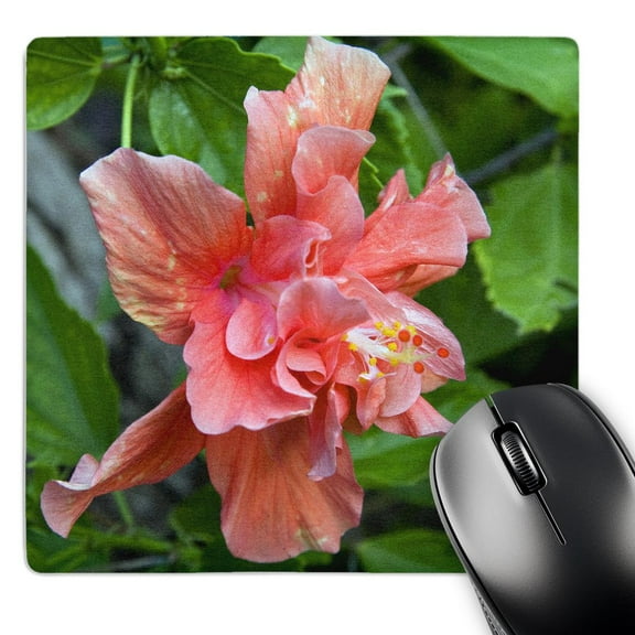 3dRose, Hibiscus Flowers, Antigua, West Indies, Caribbean-CA03 NTO0084 - Nico Tondini, MousePad