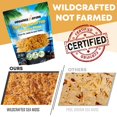 thumbnail image 3 of Raw Wildcrafted Sea Moss | Organic Wildcrafted & Non-GMO Certified | Dr Sebi Approved | Make 5 Jars of Sea Moss Gel | Immune Support, Energy &e Essential Minerals & Vitamins 4 oz, 3 of 5