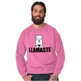thumbnail image 5 of Llamaste Namaste Spiritual Llama Sweatshirt for Men or Women Brisco Brands 2X, 5 of 6