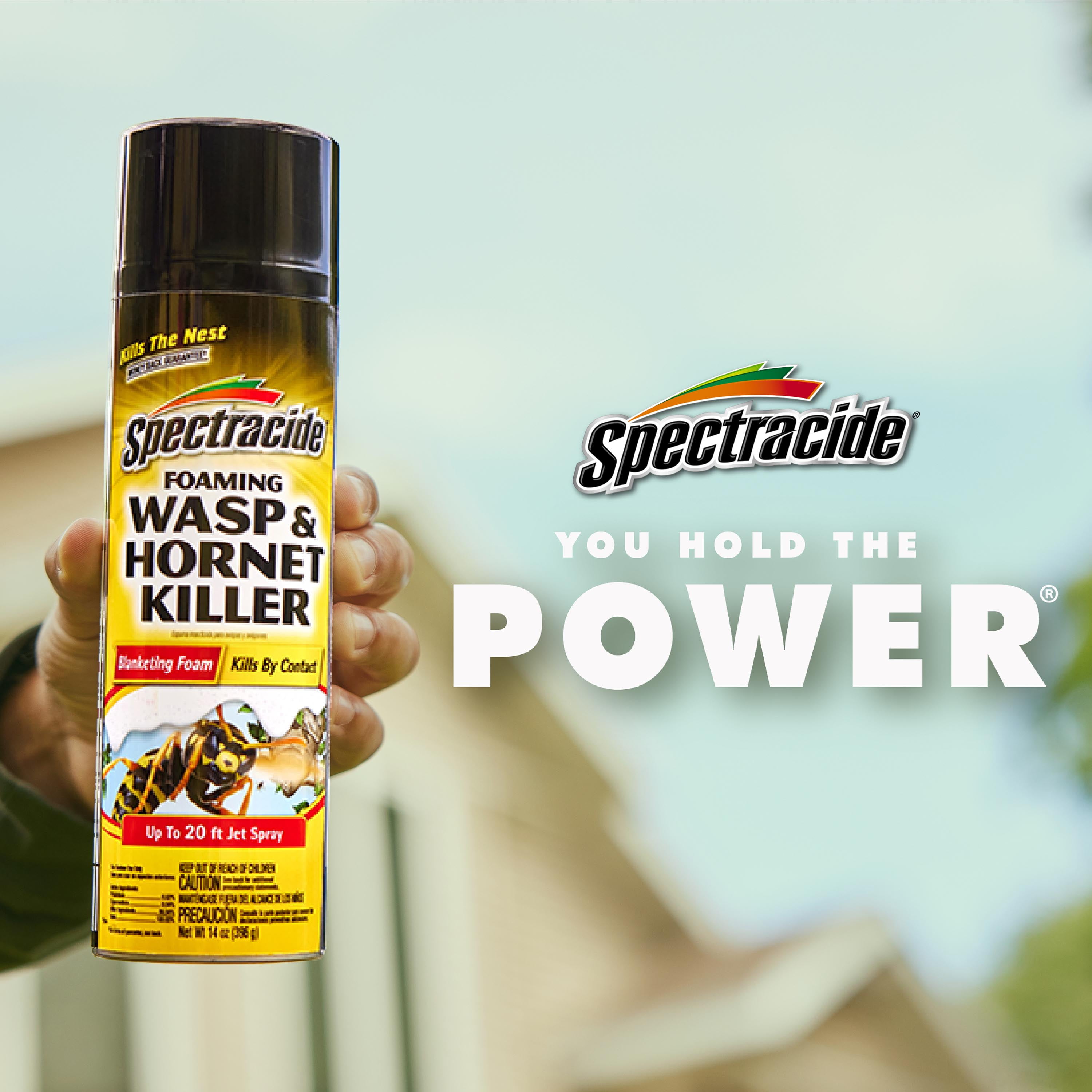Spectracide Foaming Wasp and Hornet Killer, Blanketing Foam Kills by Contact, 14 oz