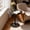 Black, variant on PinkSheep Small Round Side Table End Table Accent Table Drink Table for Living Room Bedroom Small Spaces, Black