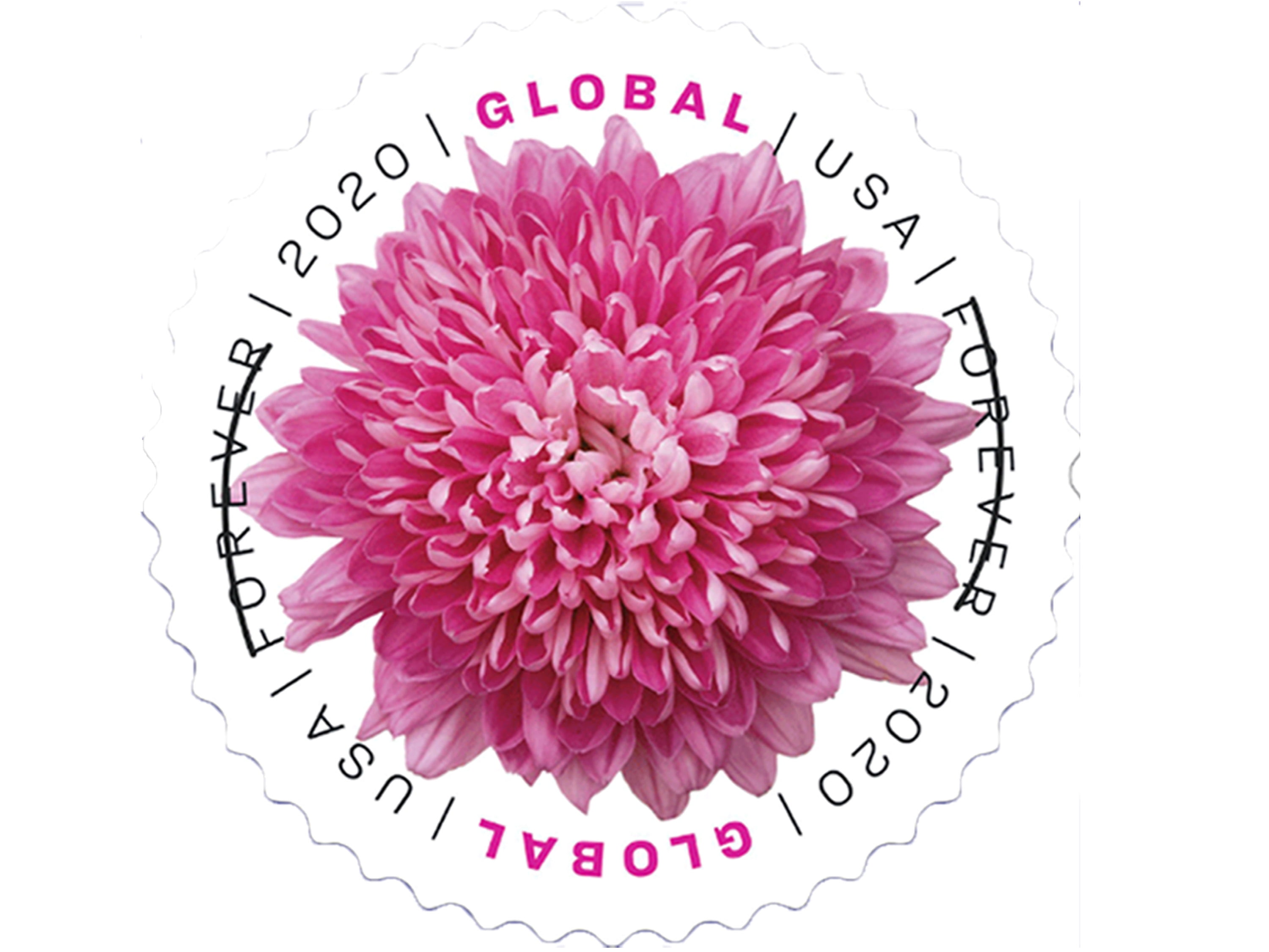 Global International Chrysanthemum Sheet of 10 USPS Postal 1st Class Mail Forever US Postage Stamps Wedding Celebration Engagement Anniversary Bridal