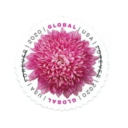 Global International Chrysanthemum Sheet of 10 USPS Postal 1st Class Mail Forever US Postage Stamps Wedding Celebration Engagement Anniversary Bridal