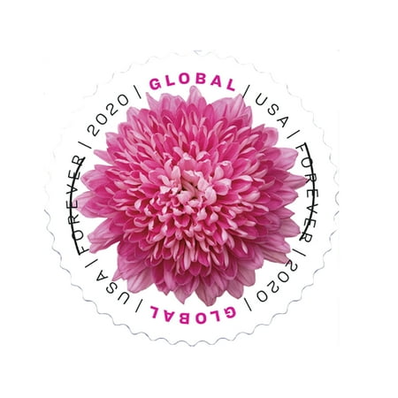 Global International Chrysanthemum Sheet of 10 USPS Postal 1st Class Mail Forever US Postage Stamps Wedding Celebration Engagement Anniversary Bridal