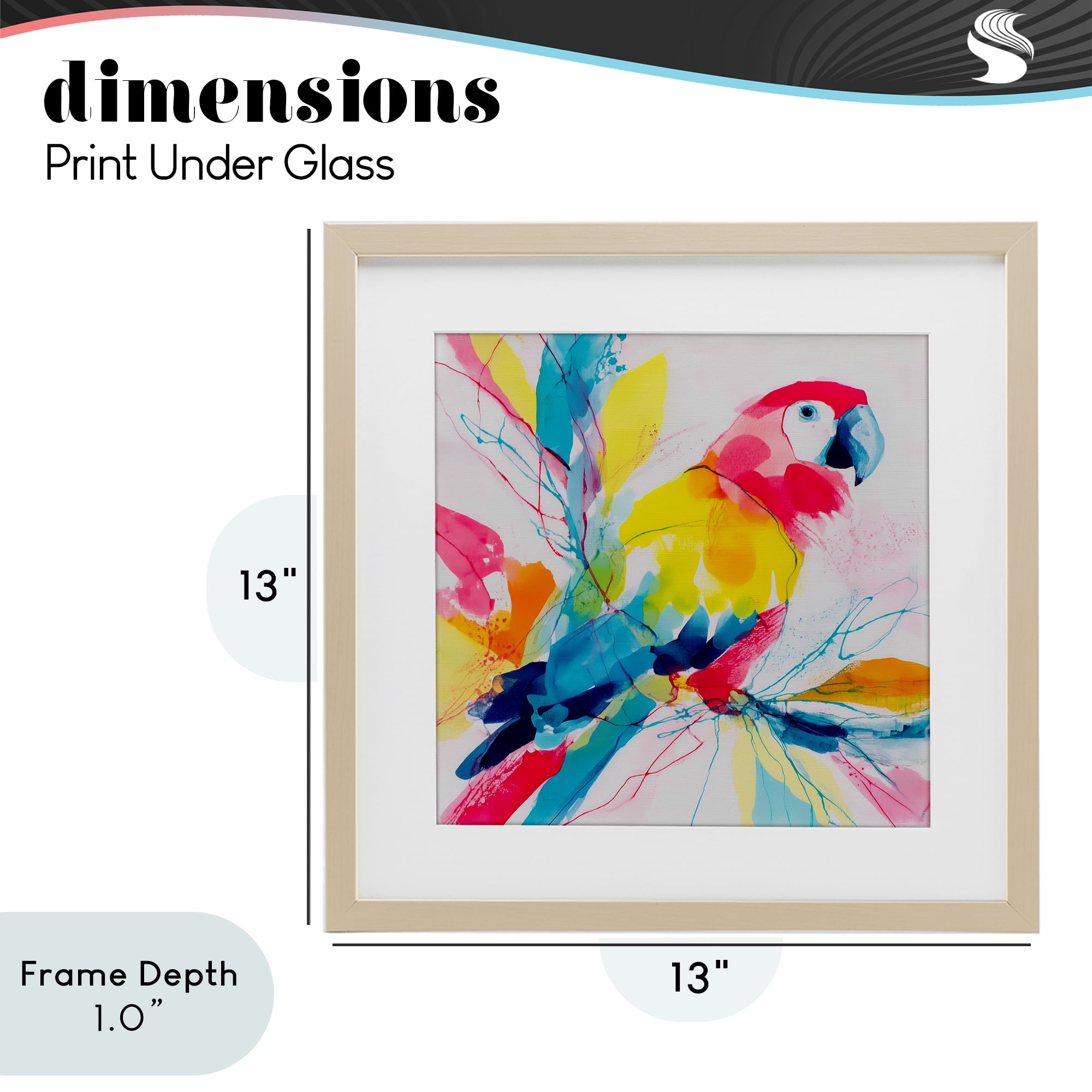Stupell Industries Expressive Parrot in Bloom Birch Framed Print Under Glass, design by Chromatic Storm Studio