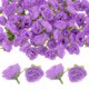 thumbnail image 1 of Uxcell 50 Paquete Cabezas de Rosas Artificiales 1.2'' Pequeña Cabeza de Rosa de Seda Falsa para Decoraciones de Ramo de Boda Fiesta Púrpura Claro, 1 of 7