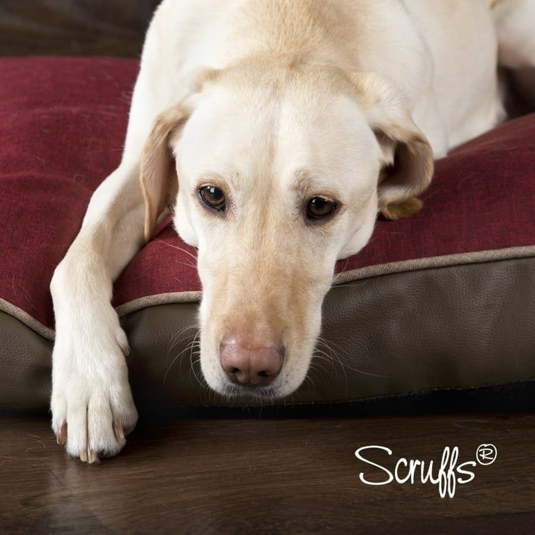 Scruffs hilton shop orthopedic dog bed