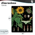 thumbnail image 4 of Stupell Industries Shabby Chic Sunflower Bulb Illustrations Canvas Art, 16 x 20, by Vintage Hustle, 4 of 8