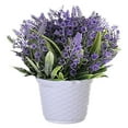 thumbnail image 1 of Flor falsa simulación bola de lavanda maceta paisaje planta artificial decoración interior flor falsa creativa pequeña decoración, 1 of 5