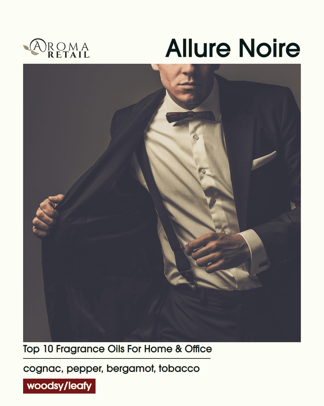 Aroma Retail Allure Noire Soy Wax Melts for Wax Warmer Woodsy Scent, 3-Pack