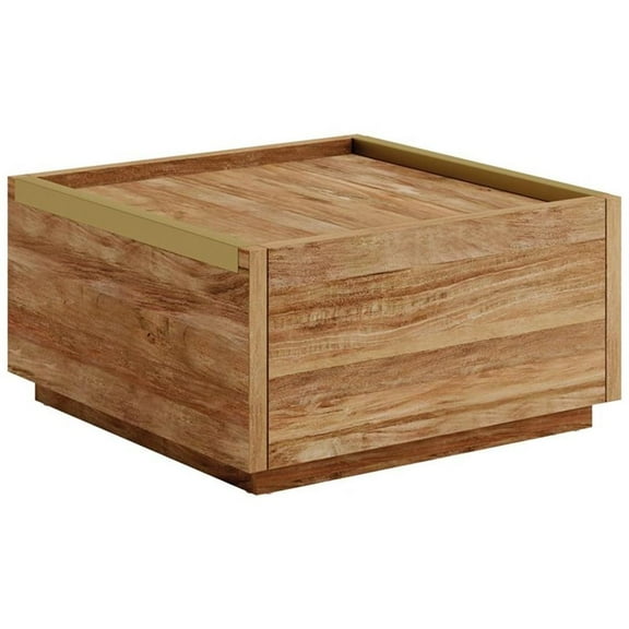Pemberley Row Engineered Wood Sindoori Mango Coffee Table Square 31" x 30.95" x 16.06"