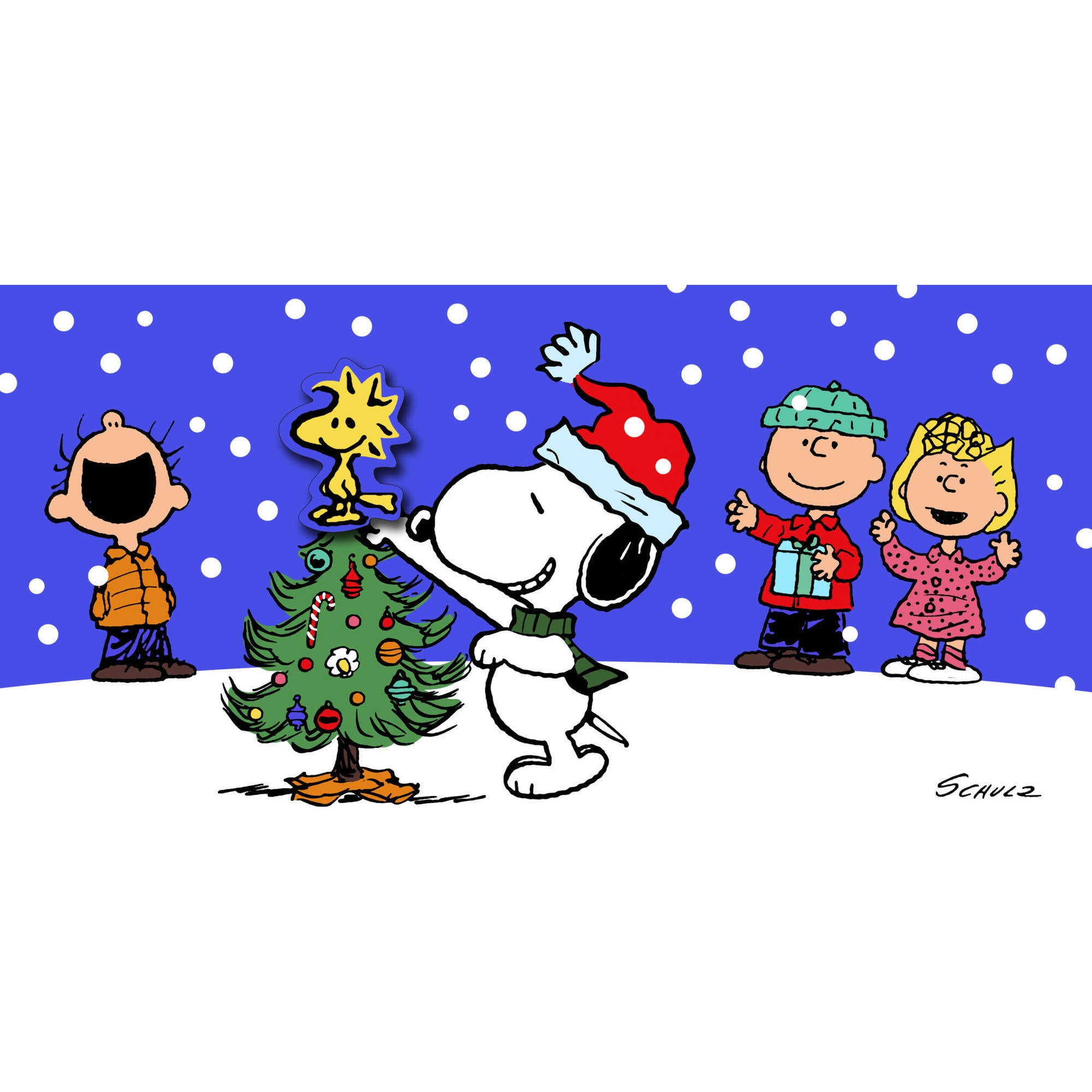 Fun Christmas Photo Cards