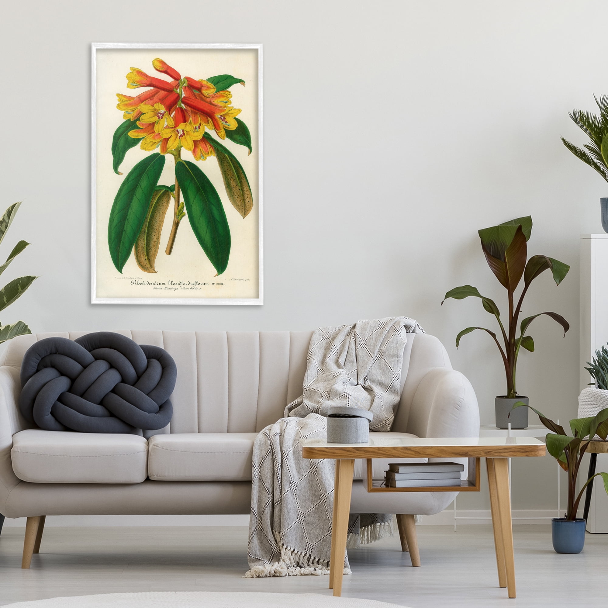 Stupell Industries Orange Yellow Rhododendron White Framed Giclee Art, design by Print Collection