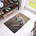 thumbnail image 3 of MKHERT Funny Wise Owl Sitting on Books Watercolor Animal Doormat Rug Home Decor Floor Mat Bath Mat 23.6x15.7 inch, 3 of 3