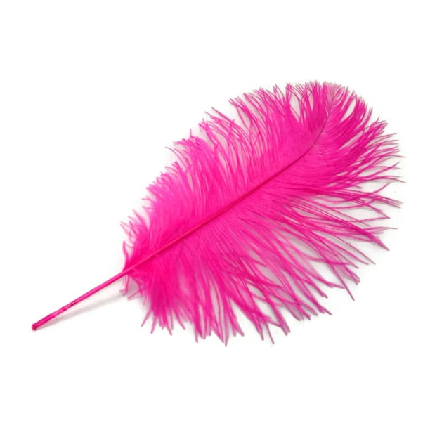 1/2 Lb - 12-16" Hot Pink Ostrich Tail Wholesale Fancy Feathers (Bulk