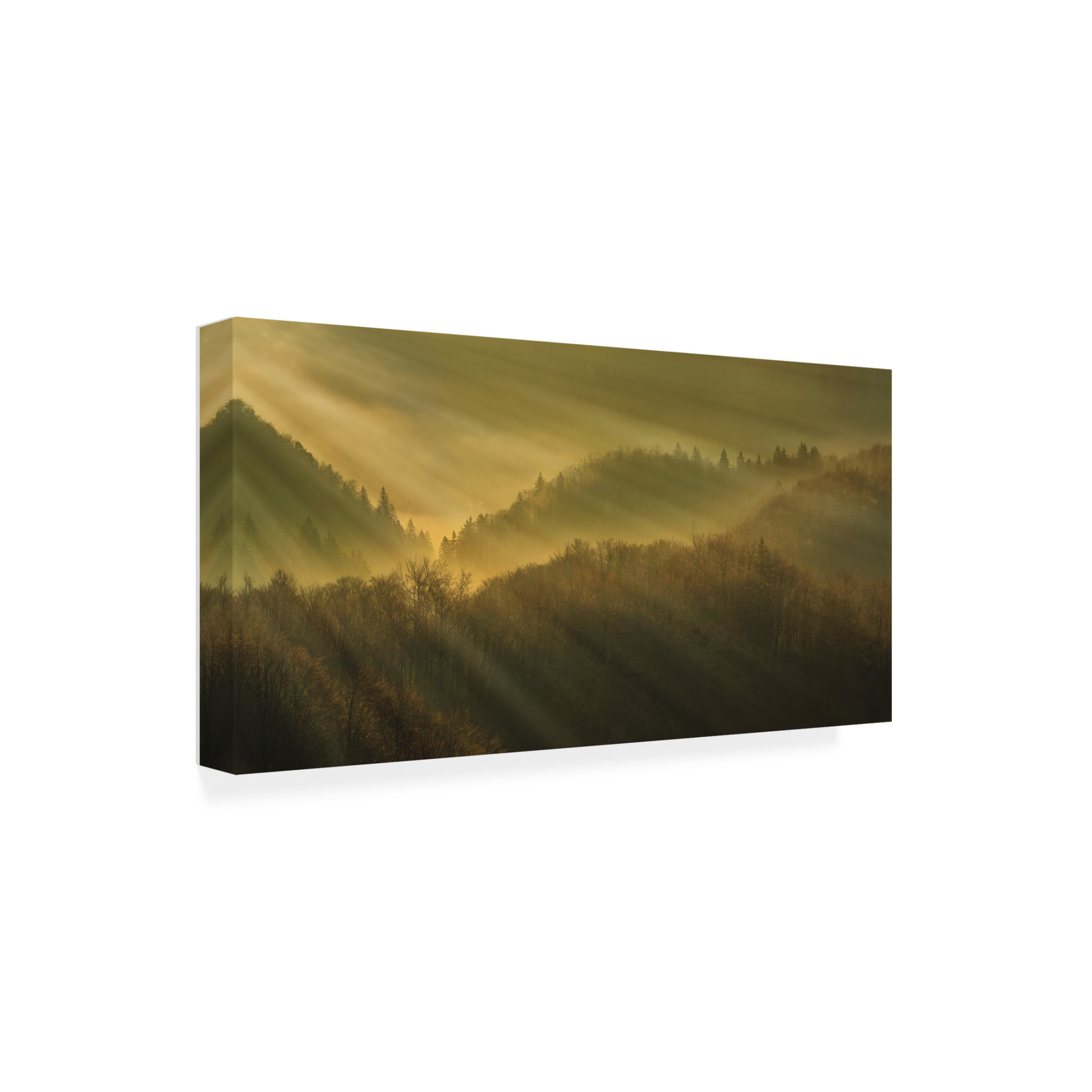 Trademark Fine Art Bor Rays Of Morning Canvas Wall Art