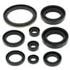 Vertex Engine Oil Seal Kit 822259 Compatible With/Replacement For Arctic Cat 500 FIS 4x4 w/AT 2002-2009, 500 4x4 w/AT 2000-2002, Suzuki LT-A500F Quad Master Auto 2000 2001, LT-A500F Vinson 2002-2007