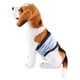 thumbnail image 4 of Pantalones para perros pantalones sanitarios para perros Soft Male Dog Belly Wrap Toilet Training Pañal Doggy Pet Ropa interior sanitaria PantsBlue XS LHCER Otros, 4 of 7