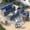 blue, variant on ELPOSUN Patio Furniture Set, 5 Pieces Outdoor Patio Sectional Sofa Set, All-Weather Wicker Rattan Outdoor Conversation Set with Ottoman for Poolside, Backyard, Gray Wicker Navy Blue Cushions