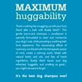 thumbnail image 3 of Cloud Star Buddy Wash Rosemary & Mint 2-in-1 Dog Shampoo + Conditioner, 16-oz bottle, 3 of 4