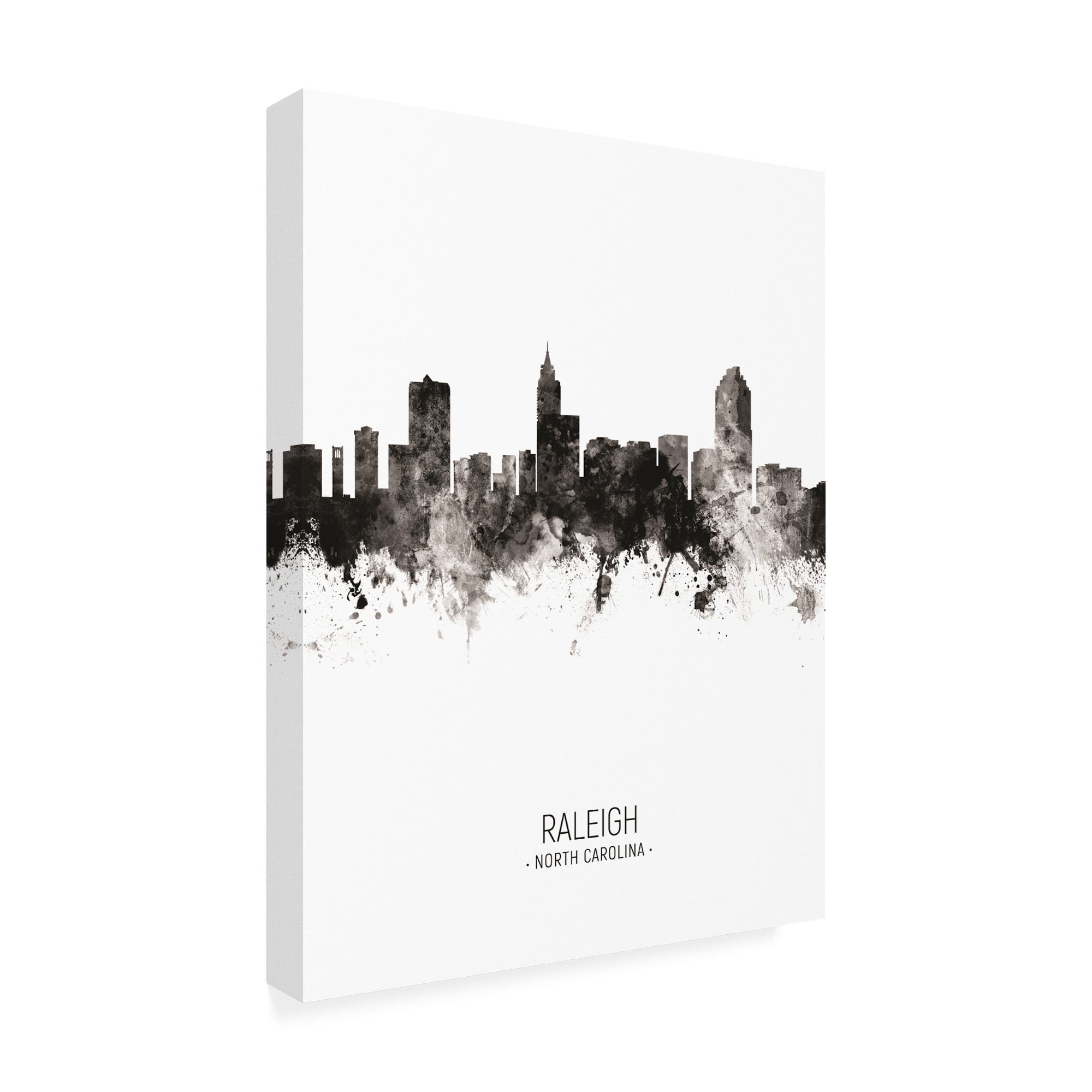 Trademark Fine Art 'Raleigh North Carolina Skyline Portrait II' Canvas Art by Michael Tompsett