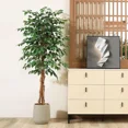 thumbnail image 7 of Colourtree 71 Inch Artificial Ficus Tree with Natural Wood Trunk, Silk Fake Ficus Tree in Plastic Nursery Pot, Faux Plant for Office Home, Indoor Outdoor Decor, 7 of 7