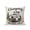 Light Brown, variant on 1 Pack Outdoor Throw Pillow, Camper Van Waterproof Pillow with Insert Included, Modern Vintage Camping Beige Wooden Decorative Accent Cushion Sofa Pillows for Patio Porch, 16 x 16 In