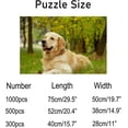 thumbnail image 3 of Coolnut 500 PCS Jigsaw Puzzles, Artwork Gift for Adults Teens Cute Golden Retriever Sitting in The Outside Wooden Puzzle Games, 20.5" x 14.9" 500 Pieces, 3 of 6