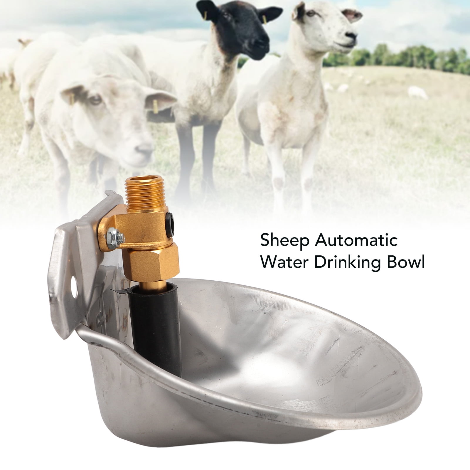 Stainless Steel Livestock Water Bowl, Touch Activated, Durable  Water Saving For Sheep  Goats