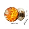 thumbnail image 3 of Unique Decorative Door Handle, Retro Round Resin Epoxy Flower Door Knob, Transparent Animal Crystal Pulls, Artistic Decorative Hardware for Bedroom, Living Room, Drawer, Cabinet (D), 3 of 6