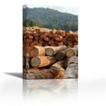 thumbnail image 1 of Logged timber from the tropical rainforest, Cameroon - Contemporary Fine Art Giclee on Canvas Gallery Wrap - wall décor - Art painting - 24 x 36 Inch - Ready to Hang, 1 of 2