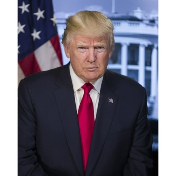 President Donald Trump In A Portrait Posted On The White House Website On Jan. 20 History (24 x 36)