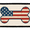Bone American - Flag, variant on Bone American - Flag - Removable Patch