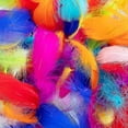 thumbnail image 3 of Colorful Feathers,300pcs Feather For Crafts Striking Feathers, 3 of 5
