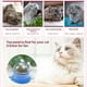 thumbnail image 3 of Irresistible Catnip Wall Ball: Promote Dental Health and Digestion in Your Feline Friend ShopWise Round, 3 of 40