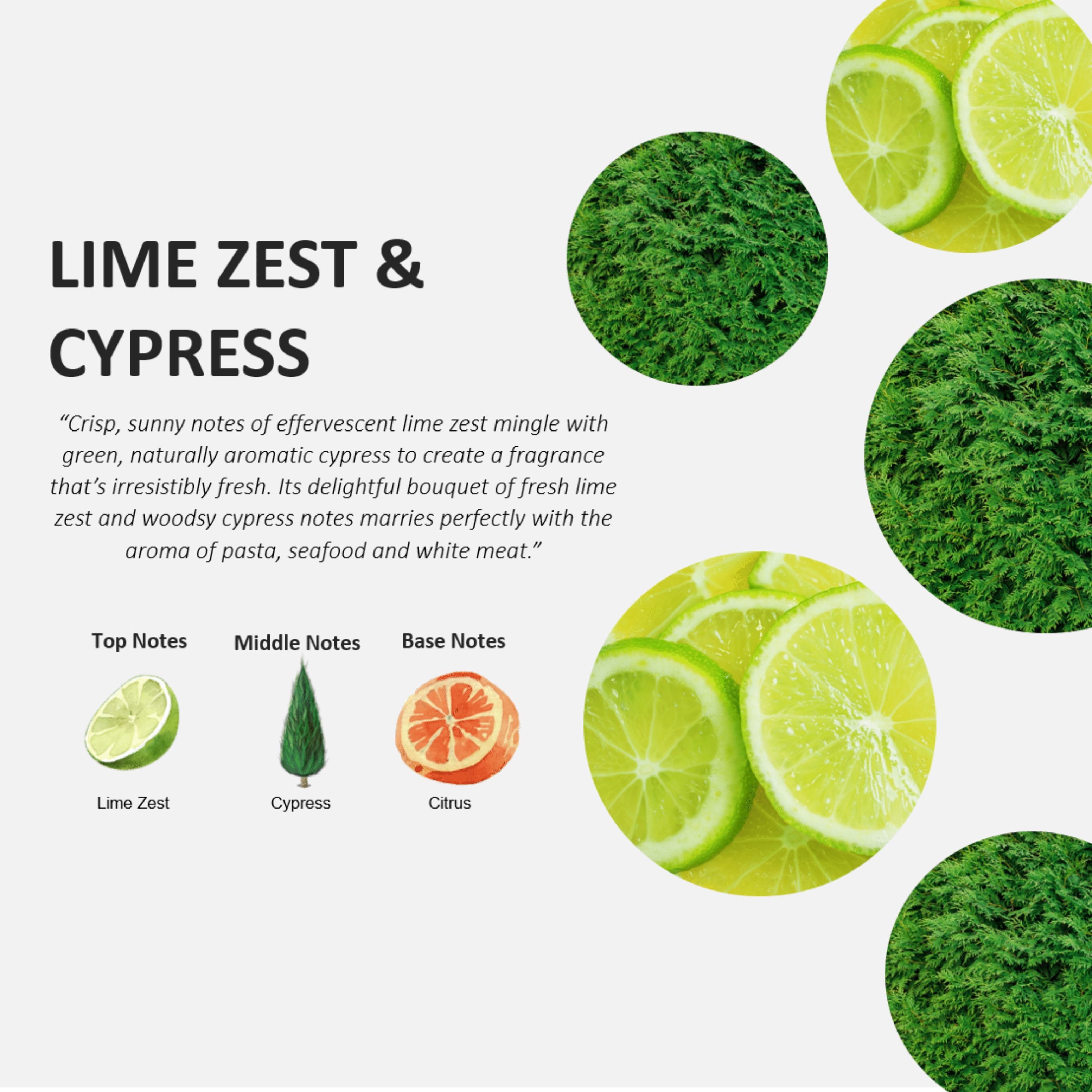 Cucina Lime Zest & Cypress Fruit & Passion Dish Soap Refill 33.8oz
