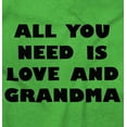thumbnail image 2 of All You Need is Grandma Cute Grandkid Toddler Boy Girl T Shirt Infant Toddler Brisco Brands 24M, 2 of 6