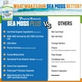 thumbnail image 3 of Power by Naturals - Certified Organic Sea Moss Plus - Wildcrafted Irish Sea Moss Bladderwrack Burdock Root - Pure Sea Moss Powder Supplements - 60 Vegan Capsules, 3 of 8