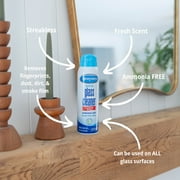 (2 pack) Sprayway Glass Cleaner, 19 fl oz, Ammonia-Free, Streak-Free Foaming Action, Twist & Lock Cap