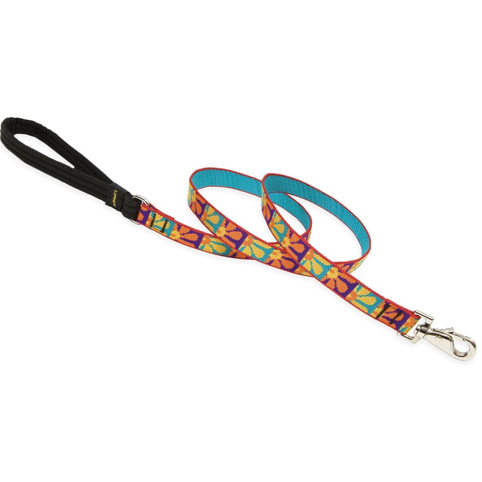 LupinePet Originals 3/4" Crazy Daisy 6-Foot Padded Handle Leash for Medium and Larger Dogs