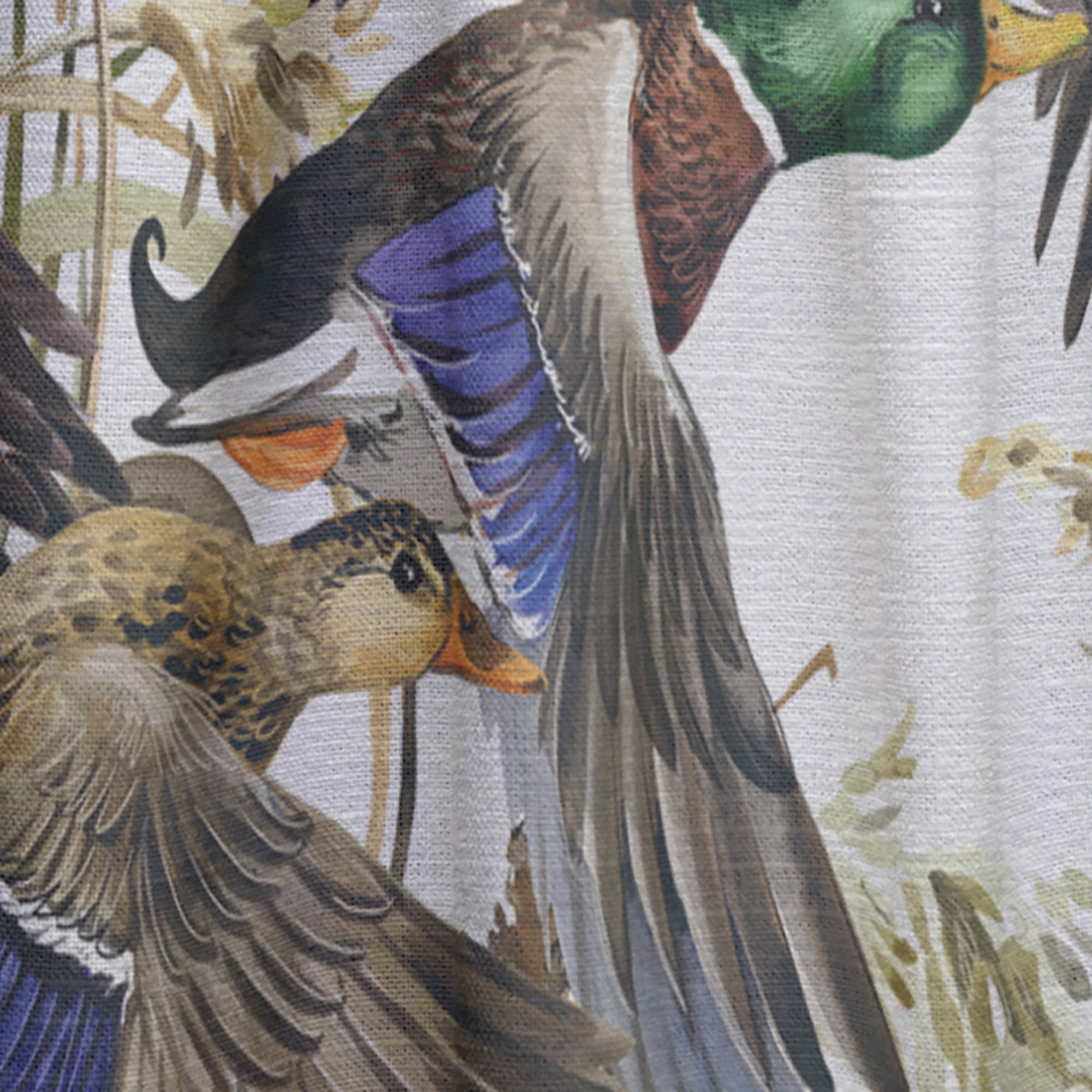 Designart 'Illustration Of Colored Duck On White' Animals Curtain Panel