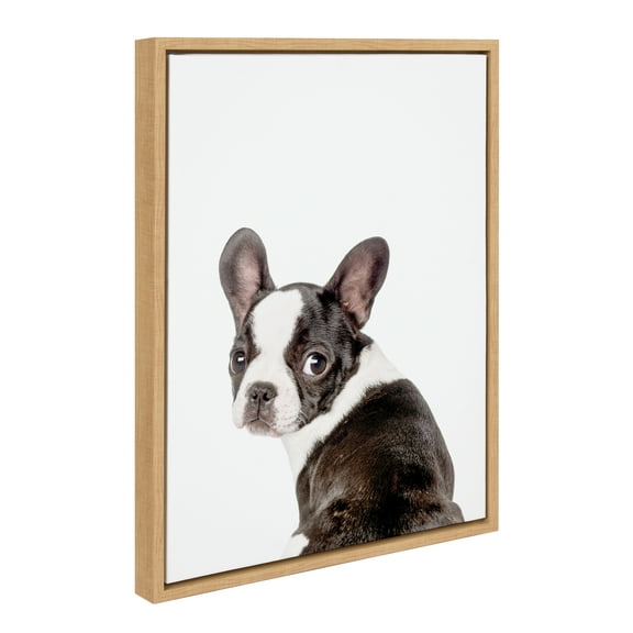 Kate and Laurel Sylvie Animal Studio French Bulldog Framed Canvas Wall Art by Amy Peterson Art Studio, 18x24 Natural, Modern Dog Portrait Art for Wall
