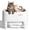 Off-white, variant on Greesum Open-Top Self Cleaning Cat Litter Box | 5-Sensor Automatic Litter Box with App Control & Health Dashboard, Anti-Leakage Waterproof, Large Capacity for Multiple Cats