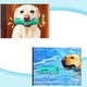 thumbnail image 2 of Juguete indestructible para perros, dispensador de golosinas, pelota para limpiar dientes, interactivo, de caucho natural duradero y con sonido., 2 of 5