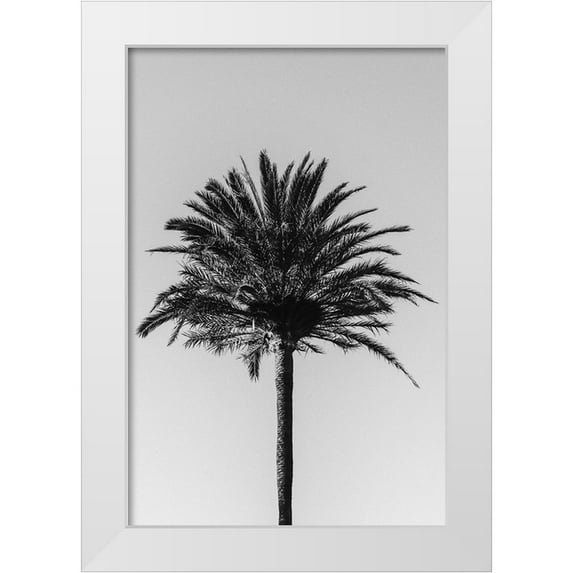 Artographie Studio 17x24 White Modern Wood Framed Museum Art Print Titled - Palm 003
