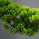 thumbnail image 3 of Bonsái de pino artificial de bienvenida, adorno for sala de estar, plantas verdes falsas, decoración de oficina, 3 of 7