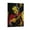 Frame-style, variant on Django Reinhardt Canvas Poster Wall Art Poster Scroll Canvas Painting Picture Living Room Decor Home 24x36inch(60x90cm)