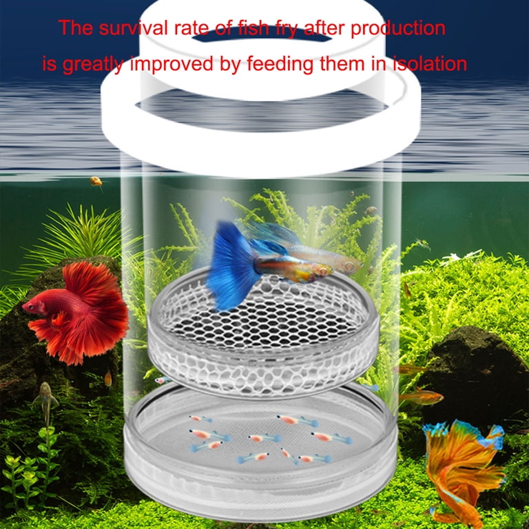betta fish breeding box Aquarium Acrylic. Aquarium Breeding Box, Betta Fish