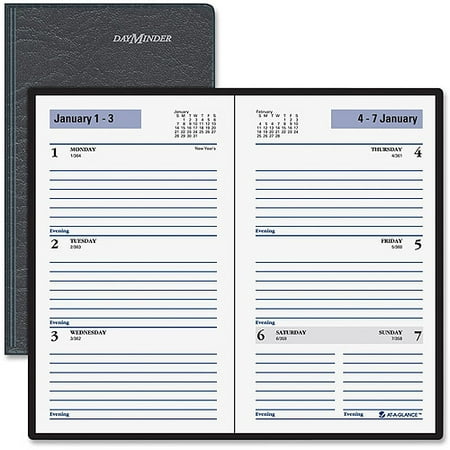 At-A-Glance Ruled Weekly Appointment Planner (Best Paper For Planner Inserts)