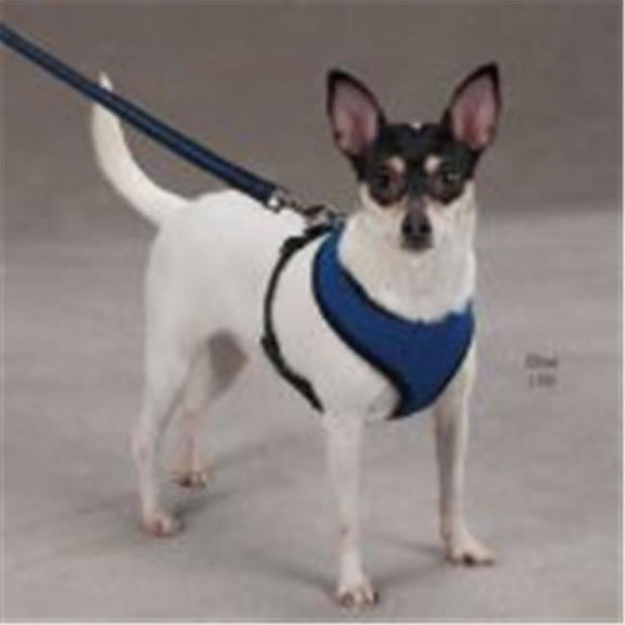 Casual Canine Mesh Dog Harness, X-Large, Black